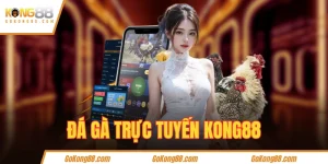Giới thiệu về đá gà trực tuyến tại KONg88