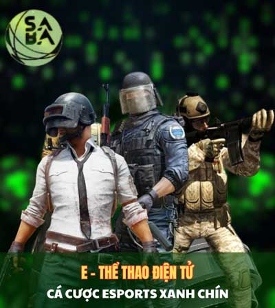 Thể thao điện tử E-Sports