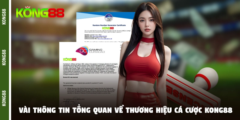 Vài thông tin tổng quan về thương hiệu cá cược KONG88