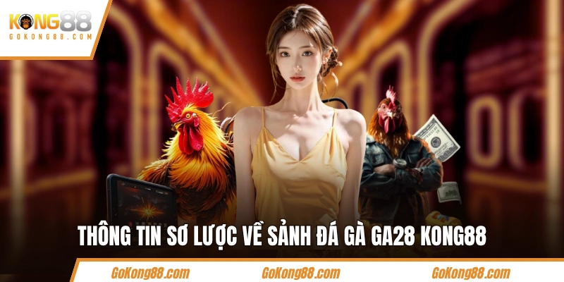 Thông tin sơ lược về sảnh đá gà GA28 KONG88
